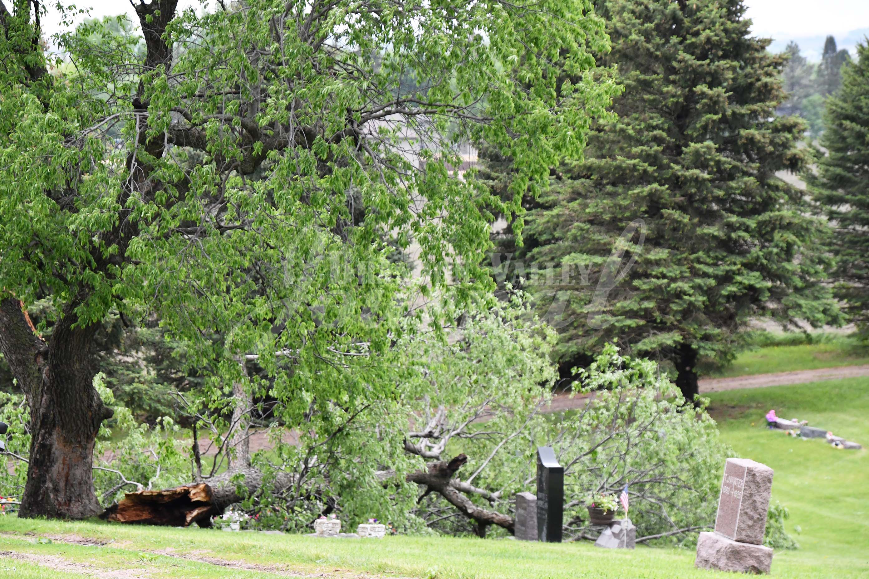 More Storm Damage Brandon Valley Journal